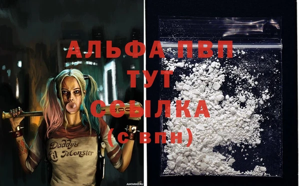 каннабис Богданович