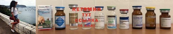 прущие грибы Сафоново