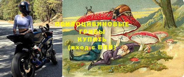 а пвп мука Верхний Тагил